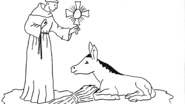 La mula di Sant’Antonio